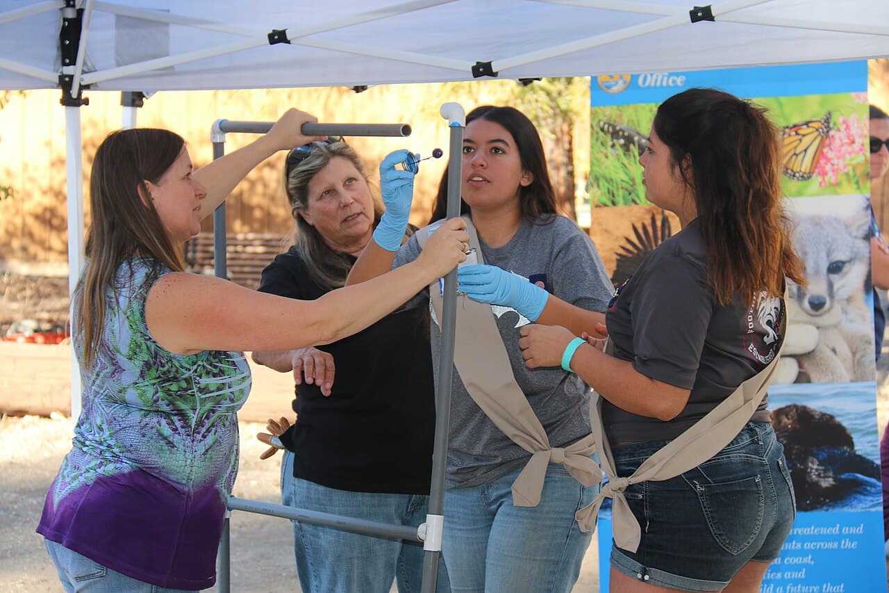 Teen Girl Scouts building a nest platform together with wildlife biologists